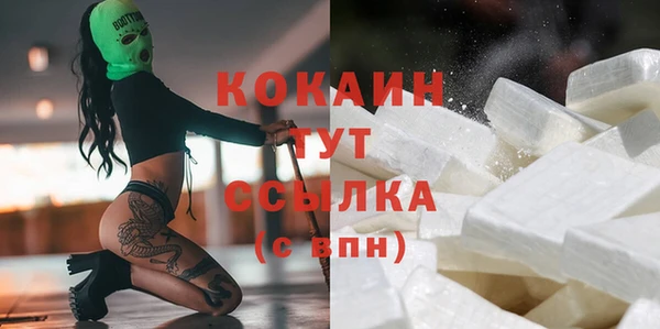 стаф Вязьма
