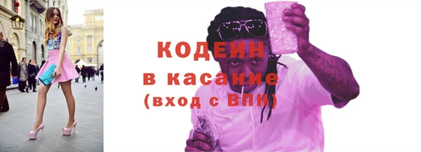 твердый Вяземский