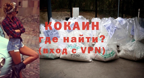твердый Вяземский