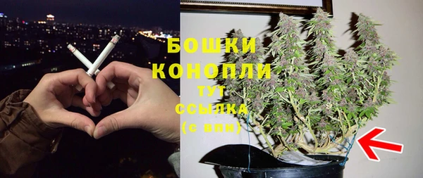 стаф Вязьма