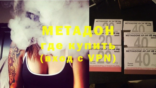 стаф Вязьма