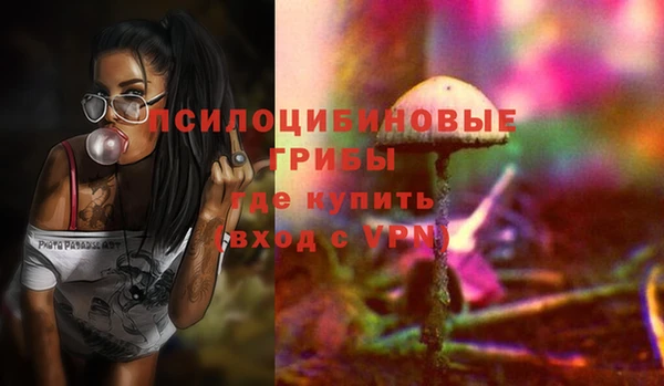 прущий лед Пестово